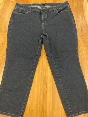 Talbots flawless five pocket women’s petite jeans